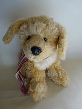 Golden Retriever puppy dog