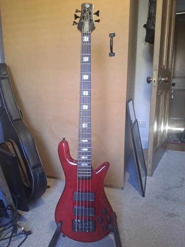 Spector rebop string bass - 5,