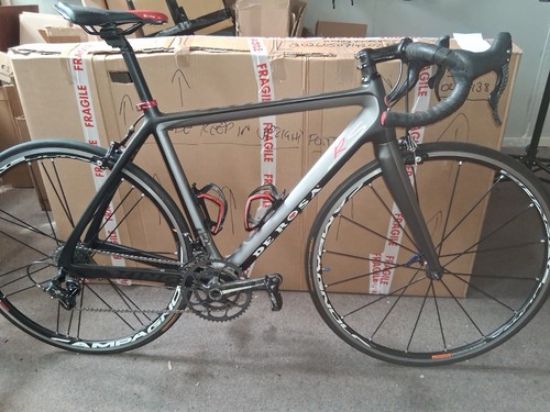 Rosa king carbon - king,