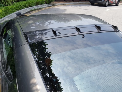 Design carbon fiber - fiber, roof