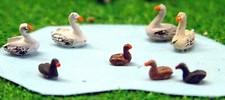 Waterfowl 4 swans 4 ducks Birds A61p PAINTED N Gauge Scale Langley Models 1/148