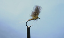 Dry Fly Dark Olive .  Sizes