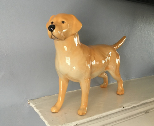 Beswick golden yellow - golden,