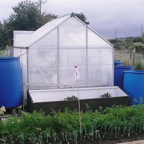 Greenhouse insulation fleece - greenhouse,