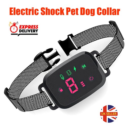 Anti bark electric - shock, dog