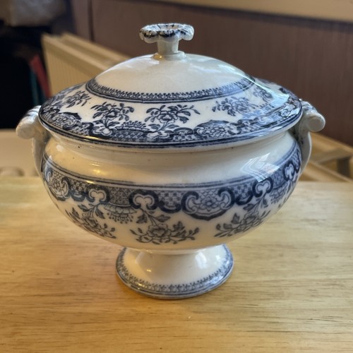 Wedgewood chusan blue white - wedgewood, blue/