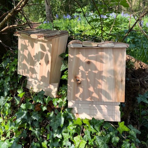 Large wooden bat nesting - wooden,