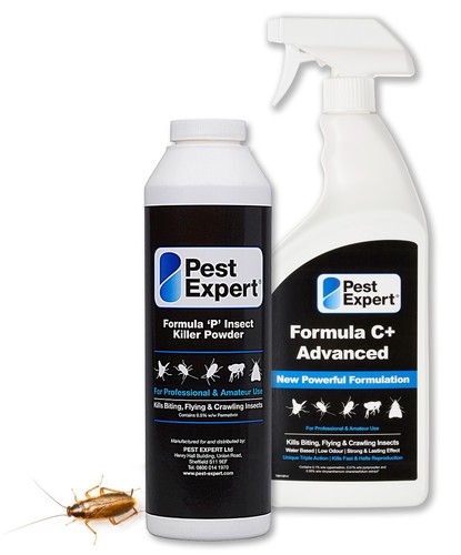 Pest expert cockroach - pest,