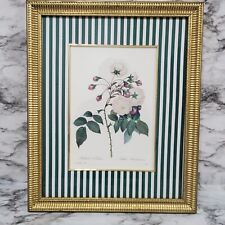 Vintage Framed Botanical Print P.J. Redouté Adelaide d'Orleans Rose Golden Frame