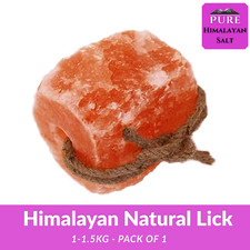 Himalayan salt Lick Horse lick
