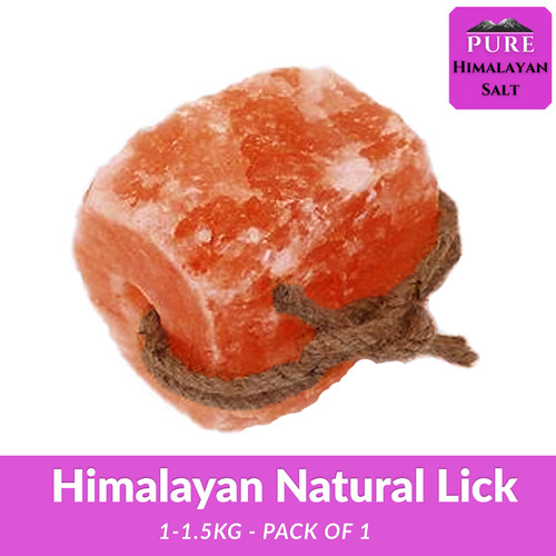 Himalayan salt lick horse - himalayan,
