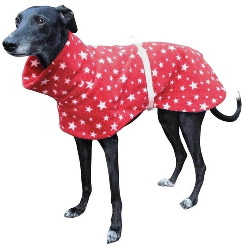Greyhound lurcher whippet - greyhound, /