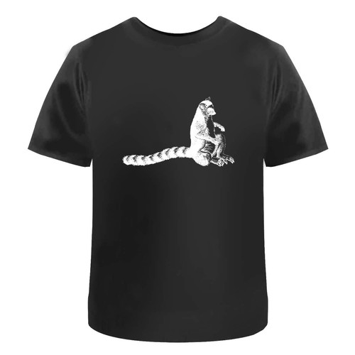Ring tailed lemur - tailed, lemur'