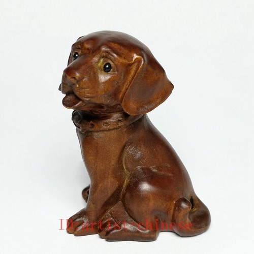 Inch old japanese boxwood - old,