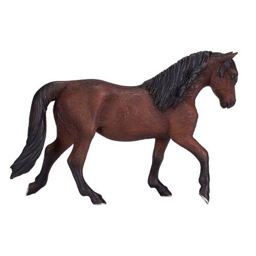 Mojo morgan stallion - mojo,