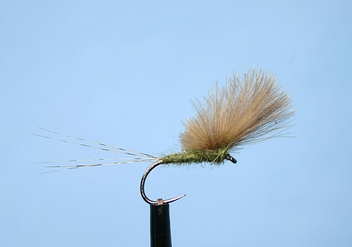 Dry fly olive barbless - olive.,
