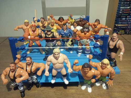 Wwf hasbro figures - wwf,