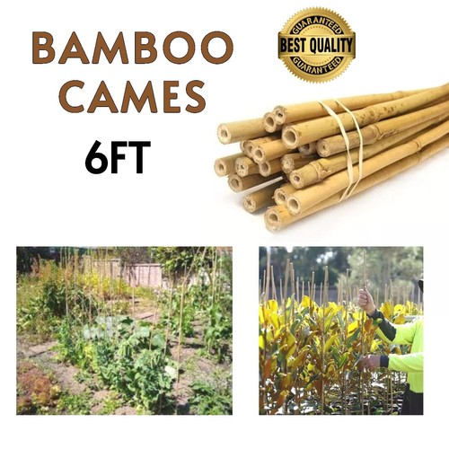 6ft natural bamboo - natural, heavy