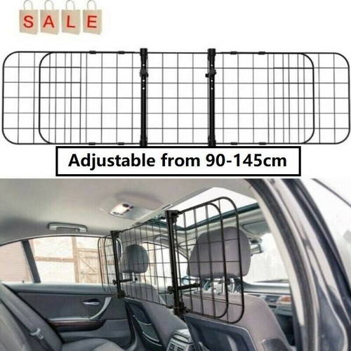 Car pet dog - car,