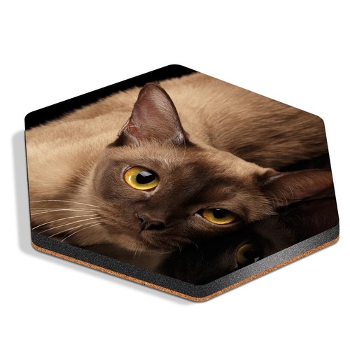 Hexagon mdf coaster burmese - hexagon,