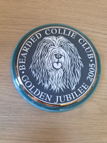 Bearded collie club - collie, rumney