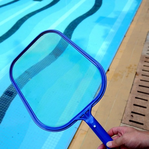 Swimming pool leaf - pool, hot