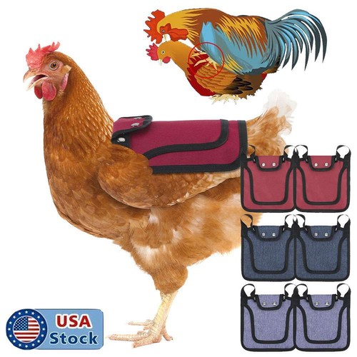2pcs pet protection back - 2pcs,