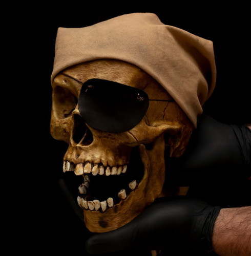 Pirate skull replica hand - skull,
