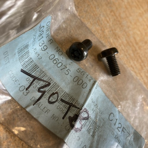 Suzuki 09139 06075 screw - 09139-06075, x2