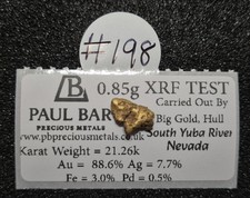 #198 - Natural Gold Nugget