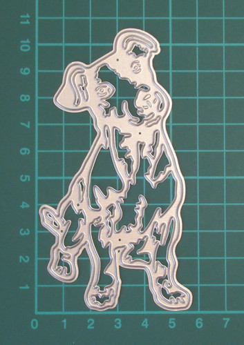 Jack russell die - die, dog