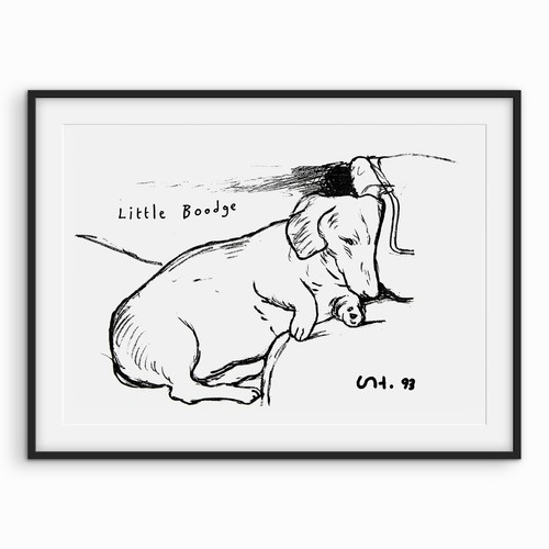 David hockney little boodge - david, boodge'