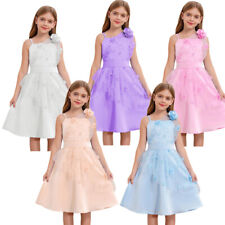 Girl Mesh Floral Embroidery Junior Bridesmaid Dress Pageant Party Formal Gown