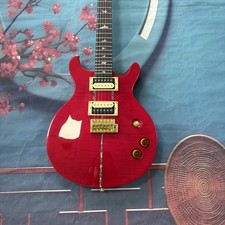 Custom PRS Electric Guitar  2H