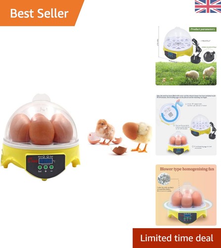 Compact egg mini - 7,