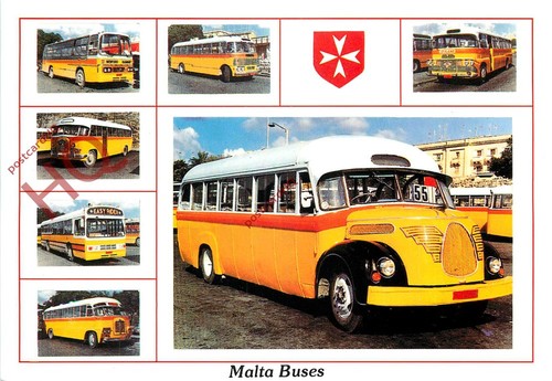 Picture postcard malta buses - picture, postcard: