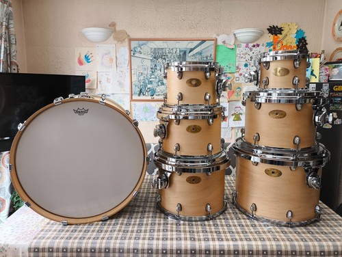 Premier artist maple - maple, drums