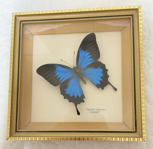 Vintage beautiful example - beautiful,
