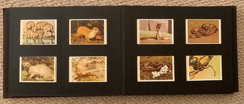 Complete set 100 cigarette - complete,