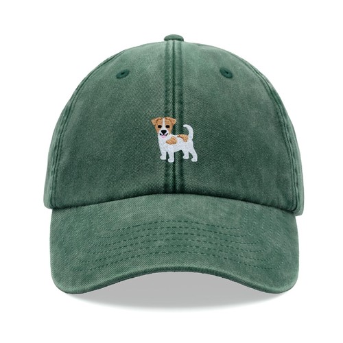Jack russell terrier - jack,