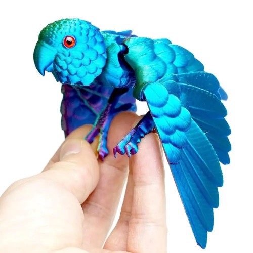Printed parrot bird model - 3d,