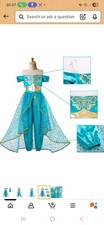 Brand New Jasmine Costume for