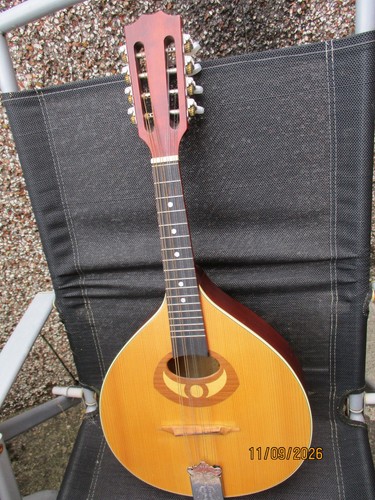 Ozark mandolin solid wood - ozark,