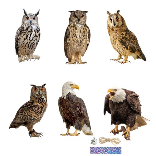 Flat bird repel - flat, owl