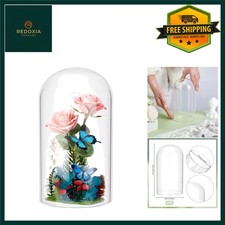 Elegant Glass Display Cloche