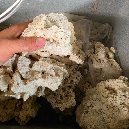 Dry reef rock cleaned - cleaned, natural