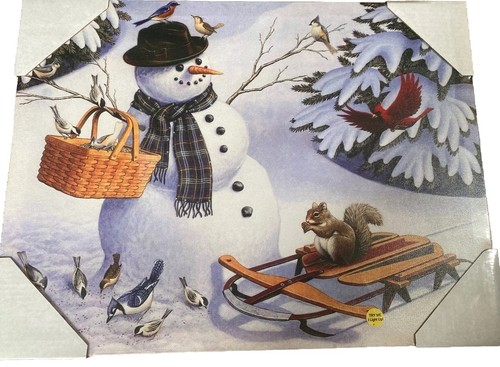 Snowman fiber optic - optic, wall