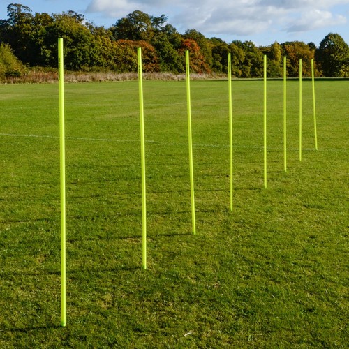 5ft spring loaded slalom - spring,
