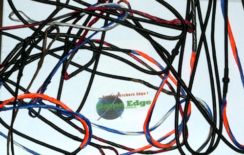Fred bear cruzer - fred, string