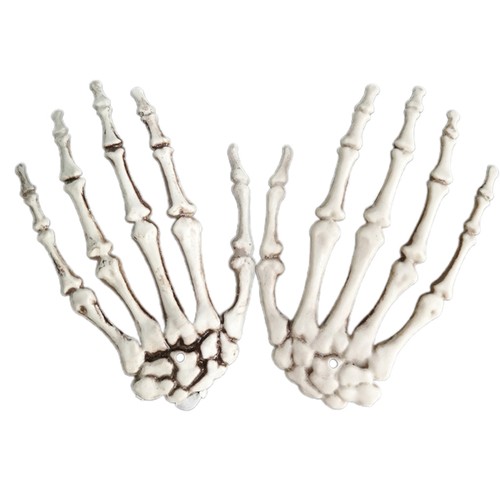 Pack halloween skeleton - pack,